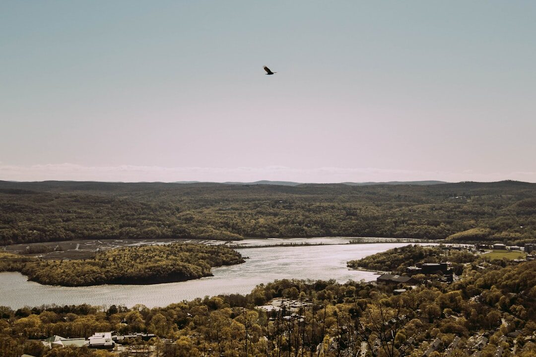 drone flying over landscape